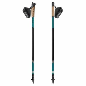 Nordic walking palota SPOKEY PEAK Nordic Walking Poles, 2-section, blue kép