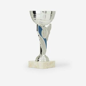 Trophée Vainqueurs Kupa, 19 cm - C130 kép