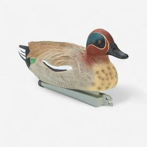 Solognac Csalimadár, réce hím kép