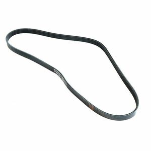 Domyos Ékszíj Biking500 kép