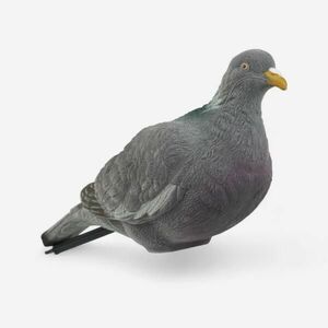 Solognac Csalimadár, örvös galamb, 3D, velúr kép