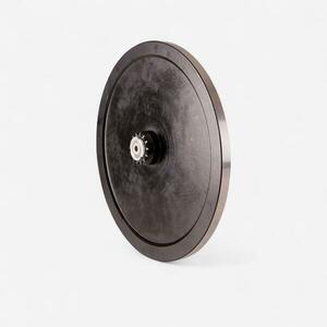 Domyos Lendkerék Biking100 kép