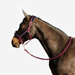 Fouganza Kötőfék vezetőszárral, nagyló és póni méret - Confort kép