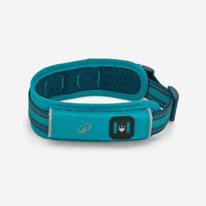 Caperlan Kutyanyakörv - 500-as kép