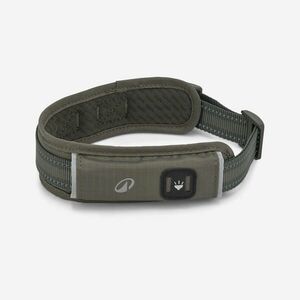 Caperlan Kutyanyakörv - 500-as kép