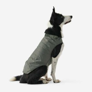 Solognac Kutyamellény, hőtartó kép