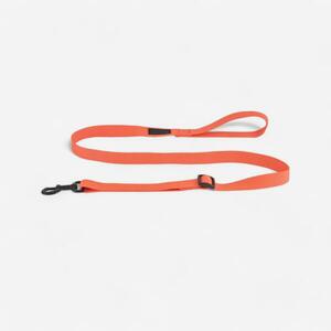 Solognac Kutyapóráz kép