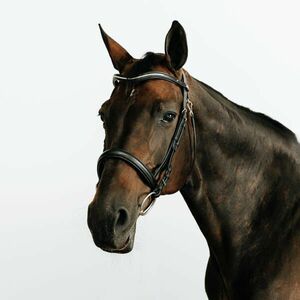 Fouganza Kantár, bőr, orrszíjjal, nagyló és póni méret - 580-as kép