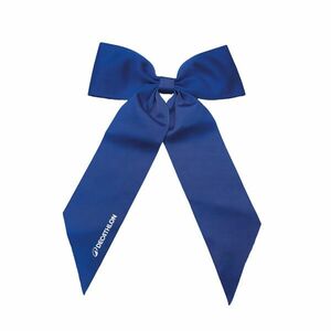 Decathlon Ajándék masni kép