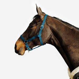 Fouganza Kötőfék, nagyló és póni méret - Schooling kép