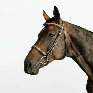 Fouganza Kantár, bőr, orrszíj díszvarrással, nagyló és póni méret - 580-as kép