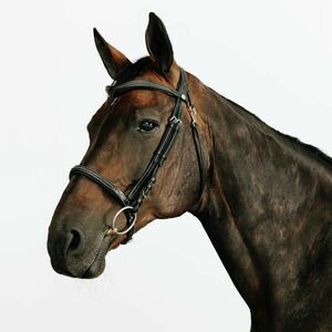 Fouganza Kantár, bőr, orrszíj díszvarrással, nagyló és póni méret - 580-as kép