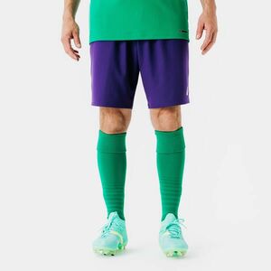 Kipsta Felnőtt futball rövidnadrág - Viralto Club kép