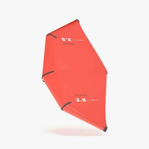 Decathlon Wing, 2, 5 m² - WNG100 kép