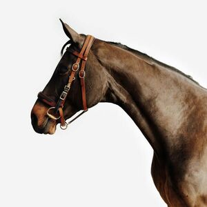 Fouganza Kötőfék-kantár lovastúrákhoz - Escape kép