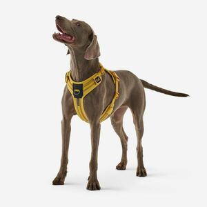 Caperlan Kutyahám - Outdoor 500 kép