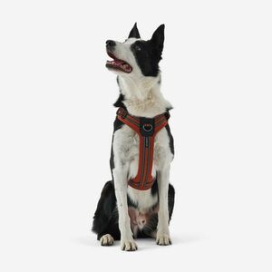 Caperlan Kutyahám - Outdoor 500 kép