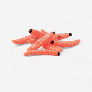 Caperlan Műlárva, narancssárga, 15 db kép