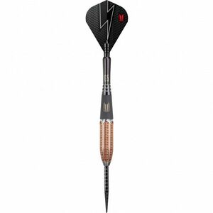 Darts szett TARGET steel 24g Phil Taylor Power 9five Gen5 95% kép