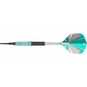 Dart szett TARGET soft 95% Mikuru Suzuki 20g kép