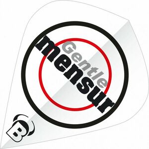 BULL'S B-Star Toll Kite kép