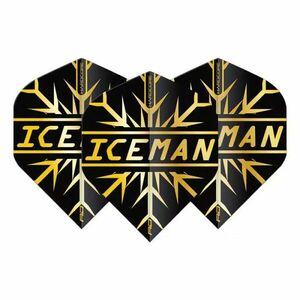 DART TOLL Red Dragon HARDCORE GERWYN PRICE ICEMAN, FEKETE/ARANY kép