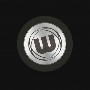 WINMAU DART HEGYVÉDŐ kép