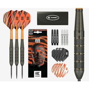 DART SZETT TARGET STEEL RAYMOND VAN BARNEVELD 22G, BRASS 2023 kép