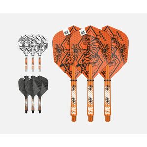 DARTS TOLL+SZÁR TARGET RAYMOND VAN BARNEVELD INK, KÖZEPES SZÁR kép