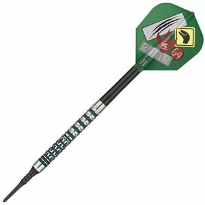 Darts szett soft TARGET JAPAN George Nishitani Raptor G4, 18g 90% wolfram kép