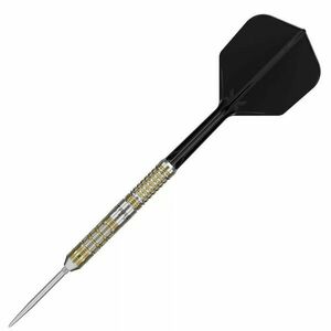 Darts szett steel Target Japan SP Black Marque Reyn G2, 21g 90% Gravírozott kép