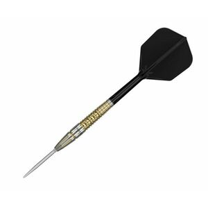 darts nyíl steel TARGET BLACK MARQUE WARRIOR Lee Tae Kyung Model SWISS POINT 23g, 90% kép