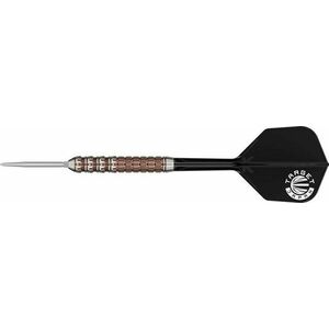 dart szett steel Target Japan Prime Series George Nishitani Raptor GEN6 SP 22gr, 90% kép