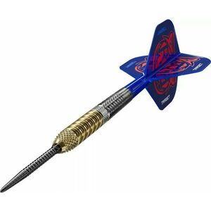 Darts szett Target Raymond Van Barneveld GEN6 Swiss Point Steeldarts 23g kép