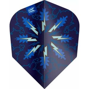 Target ProUltra Phil Taylor Power Gx2 No6 toll csomag kép