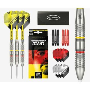 Darts szett TARGET steel 22g brass Gabriel Clemens kép