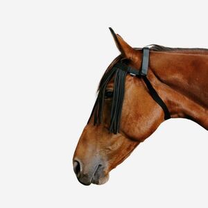 Fouganza Légytávoltartó homlokvédő lónak és póninak kép