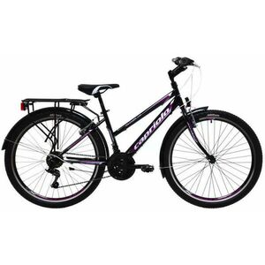 Passion Lady 26 kép