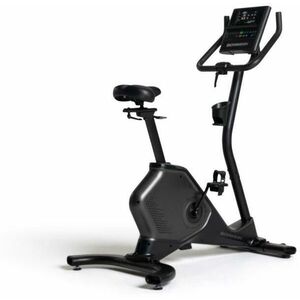 590U Upright (100952) kép