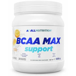 BCAA MAX Support italpor 500 g kép
