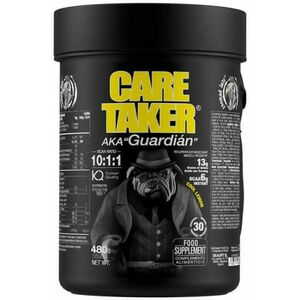 Caretaker BCAAs 10: 1: 1 italpor 480 g kép