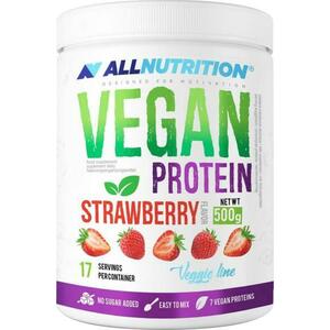 Vegan Protein 500 g kép