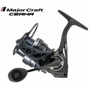 Ceana CNS2500HG kép