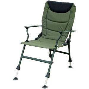 Comfort Carp Armchair 2 900000025 kép