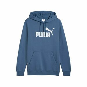 ESS Logo Hoodie FL kép