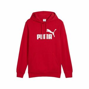 Essentials Big Logo Hoodie kép