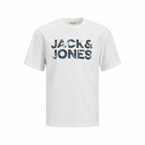 Bryan Corp Logo kép