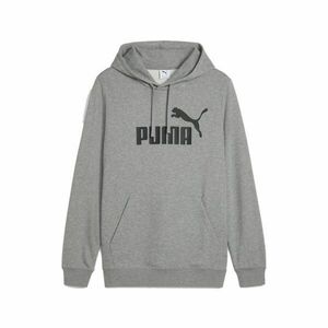 Essentials Big Logo Hoodie kép