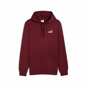 Small Logo Hoodie FL kép