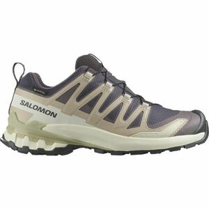 Salomon XA PRO 3D V9 GTX W Női terepfutó cipő, bézs, méret 39 1/3 kép